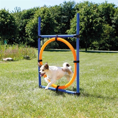 TRIXIE Agility Ring Dog Activity Verstelbare hoogte, snel op te bouwen, met grondpinnen - Blauw/Oranje - 65x3x115 cm