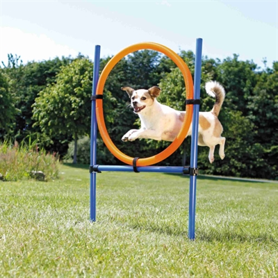 TRIXIE Agility Ring Dog Activity Verstelbare hoogte, snel op te bouwen, met grondpinnen - Blauw/Oranje - 65x3x115 cm