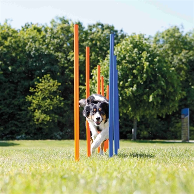 TRIXIE Agility Slalomstokken Dog Activity 12 stangen met meetlijn en draagtas -