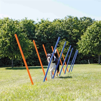 TRIXIE Agility Slalomstokken Dog Activity 12 stangen met meetlijn en draagtas -