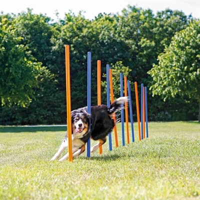 TRIXIE Agility Slalomstokken Dog Activity 12 stangen met meetlijn en draagtas -