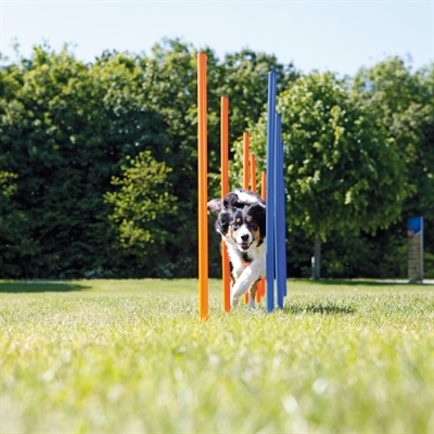 TRIXIE Agility Slalomstokken Dog Activity 12 stangen met meetlijn en draagtas -