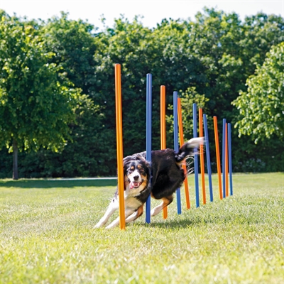 TRIXIE Agility Slalomstokken Dog Activity 12 stangen met meetlijn en draagtas -