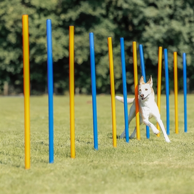 TRIXIE Agility Slalomstokken Dog Activity 12 stangen met meetlijn en draagtas -