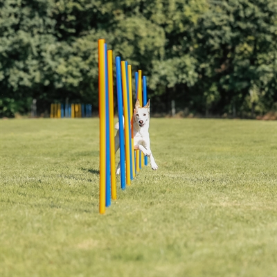 TRIXIE Agility Slalomstokken Dog Activity 12 stangen met meetlijn en draagtas -