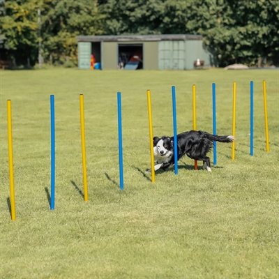 TRIXIE Agility Slalomstokken Dog Activity 12 stangen met meetlijn en draagtas -