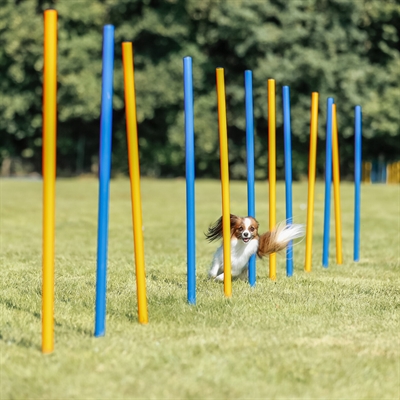 TRIXIE Agility Slalomstokken Dog Activity 12 stangen met meetlijn en draagtas -