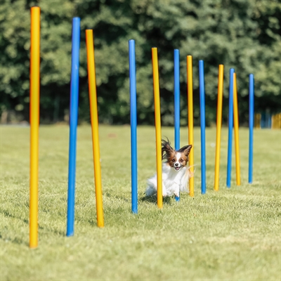 TRIXIE Agility Slalomstokken Dog Activity 12 stangen met meetlijn en draagtas -
