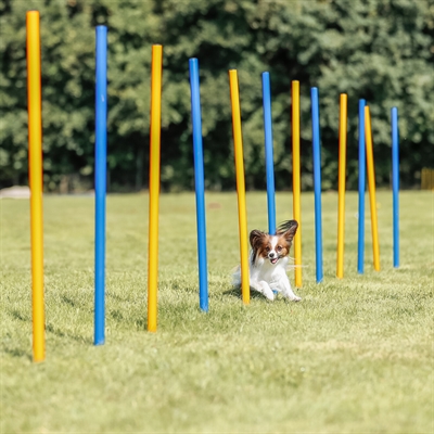 TRIXIE Agility Slalomstokken Dog Activity 12 stangen met meetlijn en draagtas -
