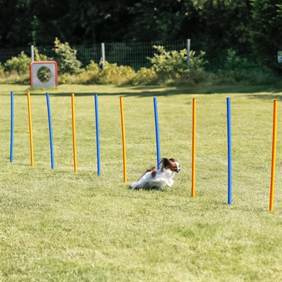 TRIXIE Agility Slalomstokken Dog Activity 12 stangen met meetlijn en draagtas -