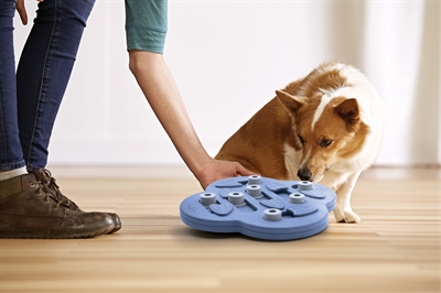 NINA OTTOSSON Hondenspeelgoed Dog Hide N Slide Composiet Intelligentiespel met schuifjes, snackcompartimenten en makkelijk te reinigen - Composiet - 33x33x5