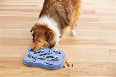 NINA OTTOSSON Hondenspeelgoed Dog Hide N Slide Composiet Intelligentiespel met schuifjes, snackcompartimenten en makkelijk te reinigen - Composiet - 33x33x5