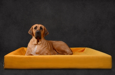 BIA BED ROYAL FLUWEEL HOES VOOR HONDENMAND OKER
