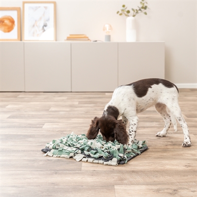 TRIXIE Snuffelmat Activity - Stimuleert speuren, vermindert schrokken, inclusief handleiding - Assorti - 50x34 cm