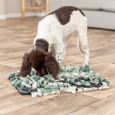 TRIXIE Snuffelmat Activity - Stimuleert speuren, vermindert schrokken, inclusief handleiding - Assorti - 50x34 cm