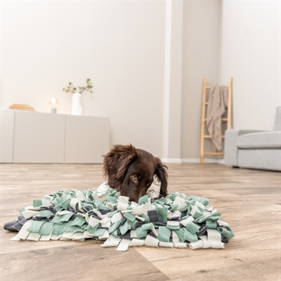 TRIXIE Snuffelmat Activity - Stimuleert speuren, vermindert schrokken, inclusief handleiding - Assorti - 50x34 cm