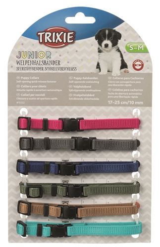 TRIXIE Puppy halsbandset 6-delig - Verstelbaar en nestmarkering, wennen aan halsband - Fuchsia/Grafiet/Indigo/Bosgroen/Koraal/Oceanblauw - 17-25 cm