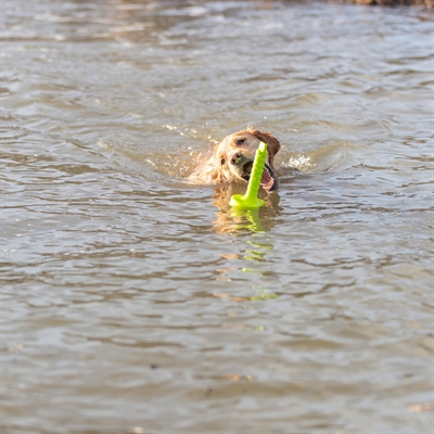 TRIXIE Dog Activity Apporteer Dobber MOT-AQUA - blijft drijven, duurzame metalen kern, extra grip - limegroen - 29 cm