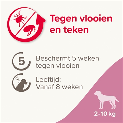 BEAPHAR FIPROTEC HOND TEGEN TEKEN EN VLOOIEN