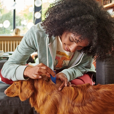 BEAPHAR FIPROTEC HOND TEGEN TEKEN EN VLOOIEN
