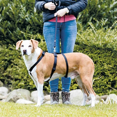 TRIXIE Hondentuig STAY Escape-proof tailleriem, neopreen voering & verstelbaar - Zwart - L-XL 75-100 cm