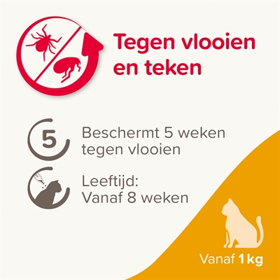 BEAPHAR Spot-on Fiprotec Kat 3+1 Pipet - 5 weken bescherming tegen vlooien, doodt teken -