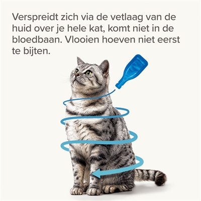 BEAPHAR Spot-on Fiprotec Kat 3+1 Pipet - 5 weken bescherming tegen vlooien, doodt teken -