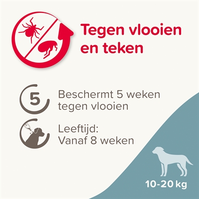 BEAPHAR FIPROTEC HOND TEGEN TEKEN EN VLOOIEN