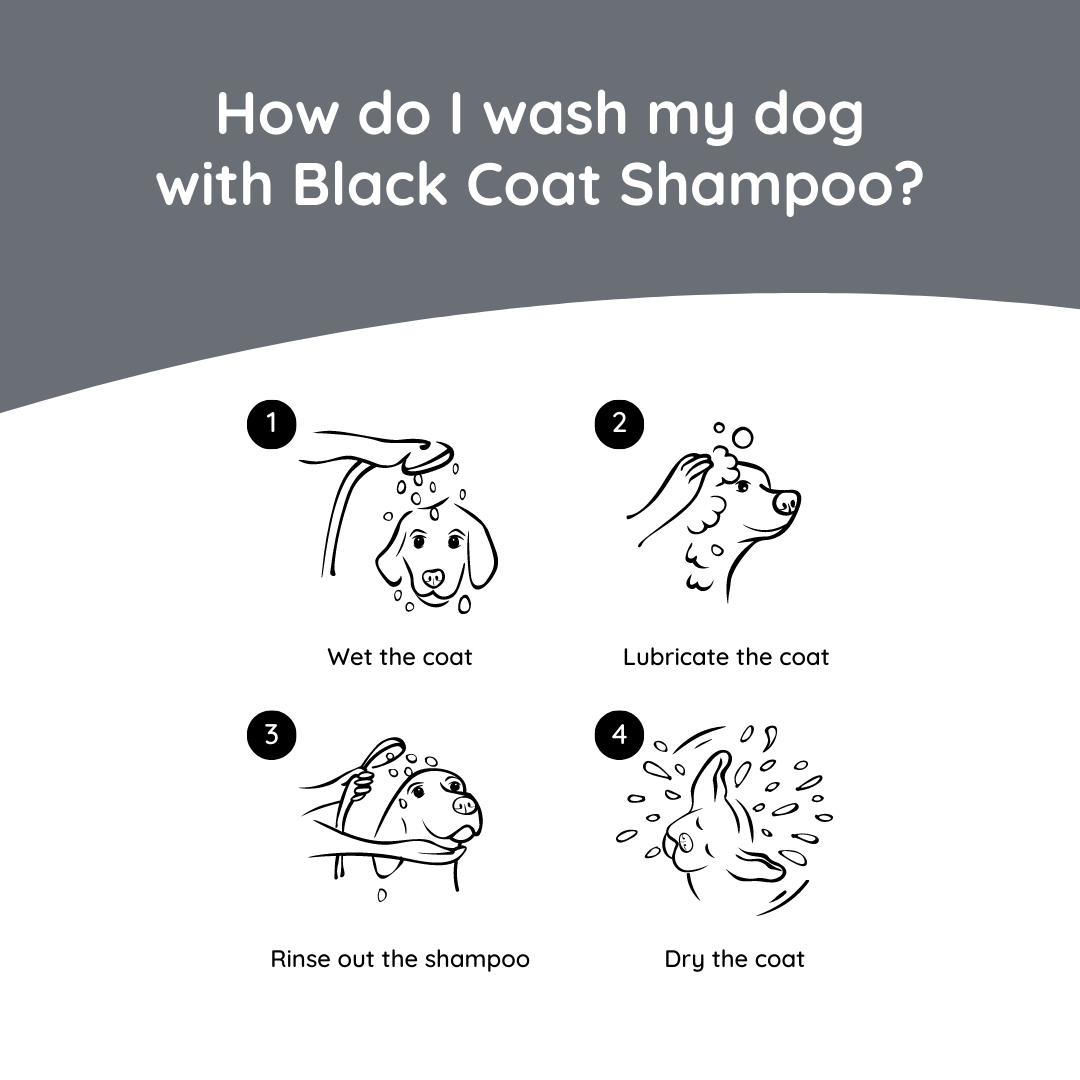 Greenfields Hondenshampoo Black Coat 250 ml – Luxe voor zwarte vacht