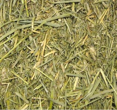BEAPHAR Timothy hooi CARE+ Vezelrijk 32% ruwvezel, laag Ca 0,29% - 1 kg