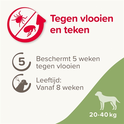 BEAPHAR FIPROTEC HOND TEGEN TEKEN EN VLOOIEN