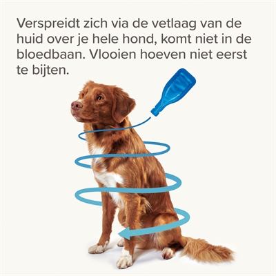 BEAPHAR FIPROTEC HOND TEGEN TEKEN EN VLOOIEN