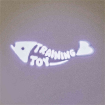 TRIXIE LED-pointer laserspeelgoed Catch The Light Vis-LED, min. 100 uur, stevig aluminium/kunststof - Zilver - 8 cm