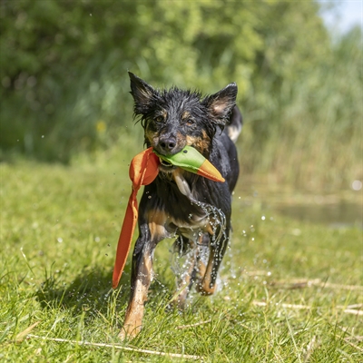 TRIXIE Hondenspeelgoed Eend Drijvend Met Geluid, Platte Vorm, Goed Zichtbaar - Oranje - 50 cm