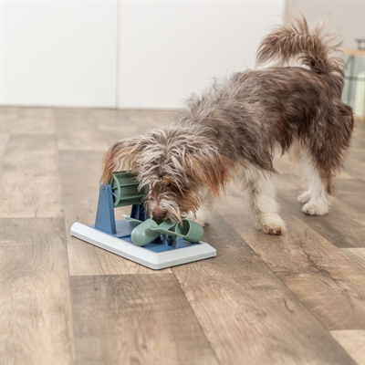 TRIXIE Intelligentiespel Hond Poker Box Vario 2 | Stimuleert probleemoplossing, slipvast, reinigbaar - assorti - 32x17 cm
