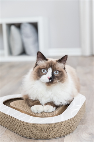 TRIXIE Krabplank Karton Met 2 Ballen Catnip & Speelspoor - Driehoekig print - 36x36x5 cm