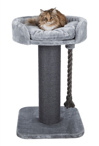 TRIXIE Krabpaal Klara XXL Extra groot met natuursisal stam en mand met kussen - Grijs - 60x60x100 cm