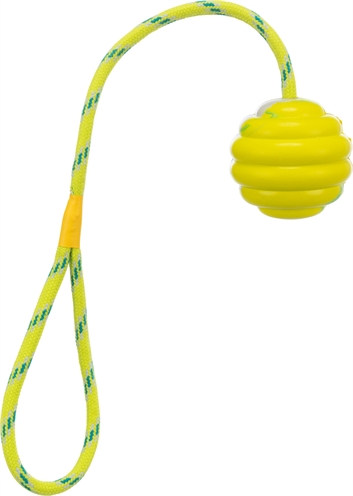 TRIXIE RINGENBAL MET TOUW
