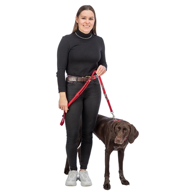 TRIXIE HONDENRIEM PREMIUM VERSTELBAAR NYLON ROOD