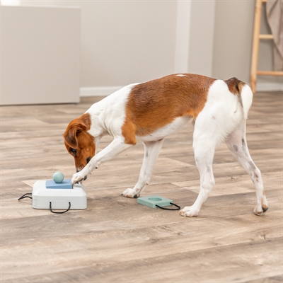 TRIXIE DOG ACTIVITY GAMBLE BOX