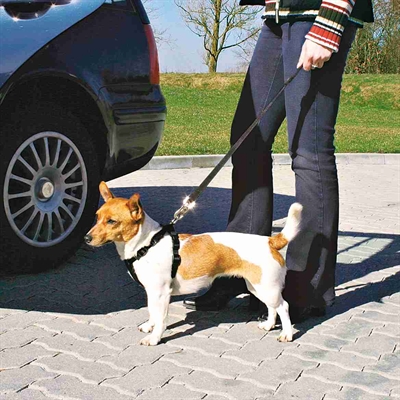 TRIXIE Hondentuig Auto inclusief gordel Traploos verstelbaar en veilige drukverdeling bij remmen - Zwart - 30-60 cm (S)