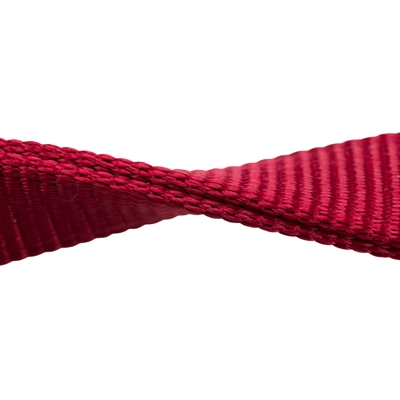 TRIXIE Hondenriem Premium Dubbelgestikt | Drievoudig verstelbaar, extra oogjes, musketonhaak - Rood - 200x2 cm