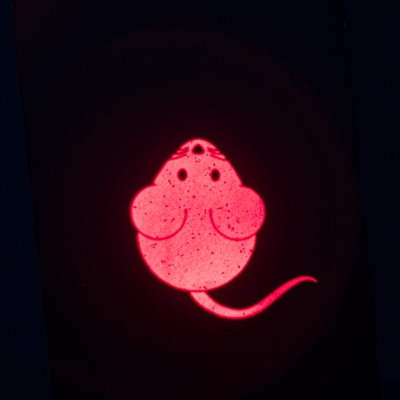 TRIXIE LASERSPEELGOED CATCH THE LIGHT MUIS USB OPLAADBAAR