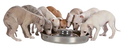 TRIXIE JUNIOR PUPPYVOERBAK RVS