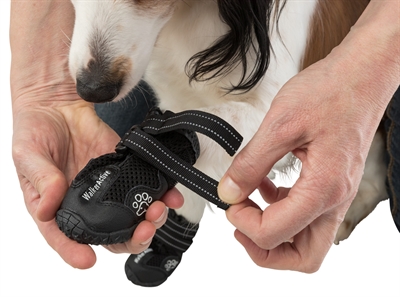 TRIXIE Pootbescherming Walker Active Slipvaste profielzool, ademend mesh, beschermt tegen hitte & strooizout - Zwart - L (2 st)