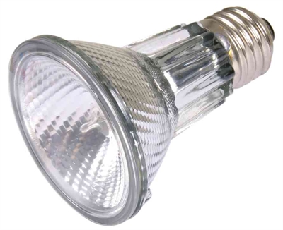 TRIXIE Halogeen warmtelamp Reptiland Heatspot Pro - Meer warmte-opbrengst, speciale reflector, ondersteunt spijsvertering - Transparant - 50 W, 6,5x6,5x8,8 cm