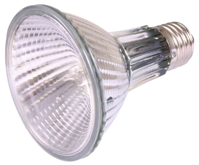 TRIXIE Reptiland Heatspot Pro Warmtelamp Halogeen - hoge warmte-opbrengst, speciale reflector, ondersteunt spijsvertering - warmwit - 75W 8,1x8,1x10,8 cm