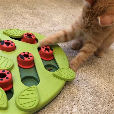 NINA OTTOSSON Kattenintelligentiespel Puzzle & Play Buggin Out - Schuifpuzzels voor voerstimulatie, mentaal en fysiek stimuleren, vermindert schrokken - Groen - 35x26x4 cm