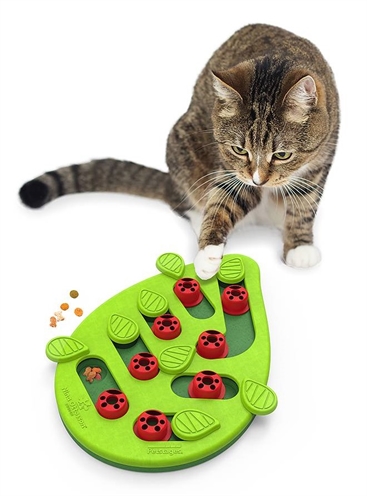 NINA OTTOSSON Kattenintelligentiespel Puzzle & Play Buggin Out - Schuifpuzzels voor voerstimulatie, mentaal en fysiek stimuleren, vermindert schrokken - Groen - 35x26x4 cm