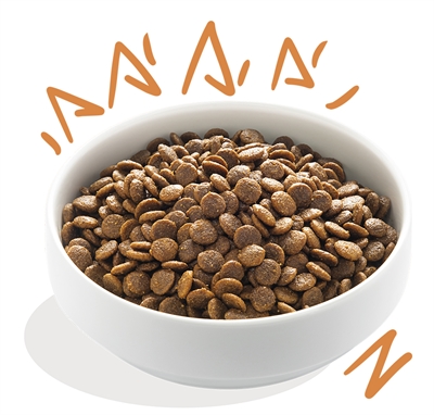 Edgard & Cooper Adult Verse Scharrelkip hondenvoer droog 12 kg